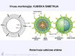 Prezentācija 'Virusuloģija', 70.