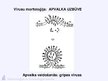 Prezentācija 'Virusuloģija', 75.