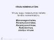 Prezentācija 'Virusuloģija', 90.