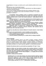 Konspekts 'Spriedumu analīze krimināltiesībās', 5.