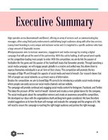 Biznesa plāns 'Public Relation Campaign', 4.