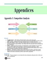 Biznesa plāns 'Public Relation Campaign', 29.