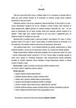 Referāts 'Efektīvas uzņēmuma reklāmas izveide', 3.