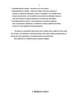 Referāts 'Efektīvas uzņēmuma reklāmas izveide', 4.