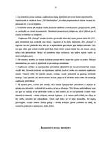 Referāts 'Efektīvas uzņēmuma reklāmas izveide', 20.