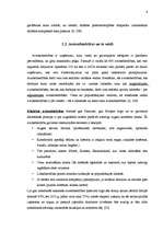 Referāts 'Aviotransporta attīstība Latvijā', 6.