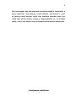 Referāts 'Aviotransporta attīstība Latvijā', 28.