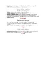 Konspekts 'Siltuma daudzums', 2.