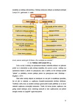 Diplomdarbs 'Ienākuma nodokļu piemērošana Latvijā kā Eiropas Savienības dalībvalstī', 13.
