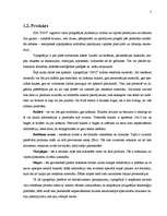 Referāts 'Tirgus izpēte tipogrāfijas "S&G" ražotajiem reklāmas materiāliem', 5.