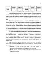 Referāts 'Tirgus izpēte tipogrāfijas "S&G" ražotajiem reklāmas materiāliem', 11.