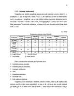 Referāts 'Tirgus izpēte tipogrāfijas "S&G" ražotajiem reklāmas materiāliem', 13.