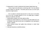 Referāts 'Tirgus izpēte tipogrāfijas "S&G" ražotajiem reklāmas materiāliem', 22.