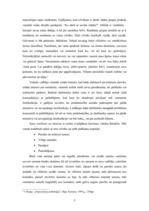 Prakses atskaite 'Prakses atskaite SIA "Villo"', 5.