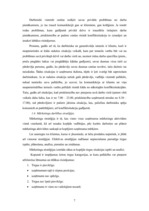 Prakses atskaite 'Prakses atskaite SIA "Villo"', 7.