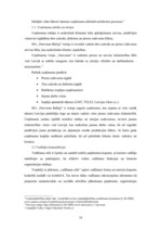 Prakses atskaite 'Prakses atskaite SIA "Villo"', 10.