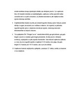 Referāts 'Finanšu analīze', 19.