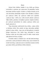 Referāts 'Kontrolinga ietekme uz uzņēmuma vērtību', 4.