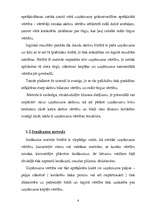 Referāts 'Kontrolinga ietekme uz uzņēmuma vērtību', 6.