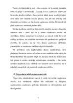 Referāts 'Kontrolinga ietekme uz uzņēmuma vērtību', 7.