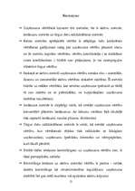 Referāts 'Kontrolinga ietekme uz uzņēmuma vērtību', 12.