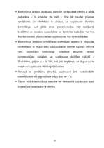 Referāts 'Kontrolinga ietekme uz uzņēmuma vērtību', 13.