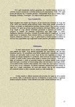 Referāts 'Kaimiņi - sabiedriskais transports', 17.