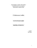Eseja 'Drošība internetā', 1.