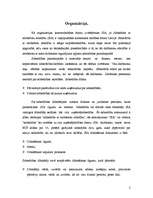 Referāts 'Mūzikas kluba "777" personāla vadība', 2.