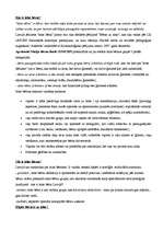 Eseja 'Ielas bērni', 2.