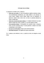 Referāts 'Troksnis un tā iedarbības sekas', 11.