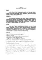 Eseja 'Aspazijas dzejoļa "Pastarā tiesa" analīze', 1.