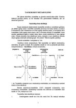 Referāts 'Taukskābju metabolisms', 1.