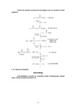 Referāts 'Taukskābju metabolisms', 4.