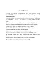 Referāts 'Latvijas ieguvumi un zaudējumi, ieviešot Eiropas Savienībā jauno 2014.-2020.gada', 9.