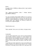 Konspekts 'Uzņēmums un komercdarbība', 17.