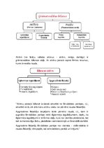 Konspekts 'Uzņēmums un komercdarbība', 27.