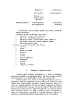 Referāts 'Pasākumu plānošana un organizēšana', 3.