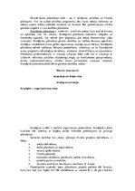 Referāts 'Pasākumu plānošana un organizēšana', 4.