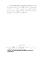 Referāts 'Pasākumu plānošana un organizēšana', 9.