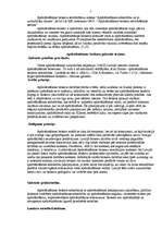 Konspekts 'Apdrošināšanas brokeri', 3.