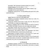 Referāts 'Kultūras ietekme uz mazo biznesu', 9.