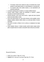 Referāts 'Komandas darbu ietekmējošie faktori krīzes centrā', 29.