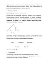 Referāts 'Анализ организации. Сеть магазинов одежды', 3.