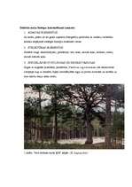 Konspekts 'Dabisko mežu biotops un ekosistēmas ilglaicība', 2.