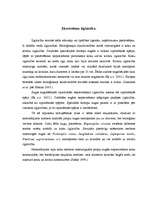 Konspekts 'Dabisko mežu biotops un ekosistēmas ilglaicība', 3.