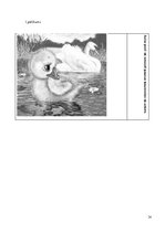 Prakses atskaite 'Prakses atskaite 64.vidusskolā', 34.