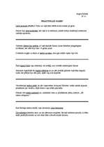 Referāts 'Homonīmi, homogrāfi, homoformas un frazeoloģismi', 1.