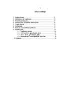 Biznesa plāns 'Biznesa plāns', 2.