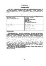 Biznesa plāns 'Biznesa plāns', 9.